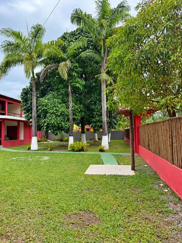 Jardim gramado com coqueiros e árvores junto à casa